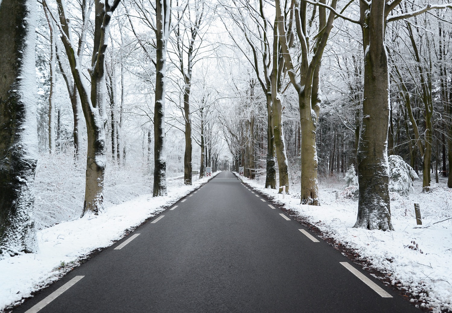 Bereid je auto voor op de winter